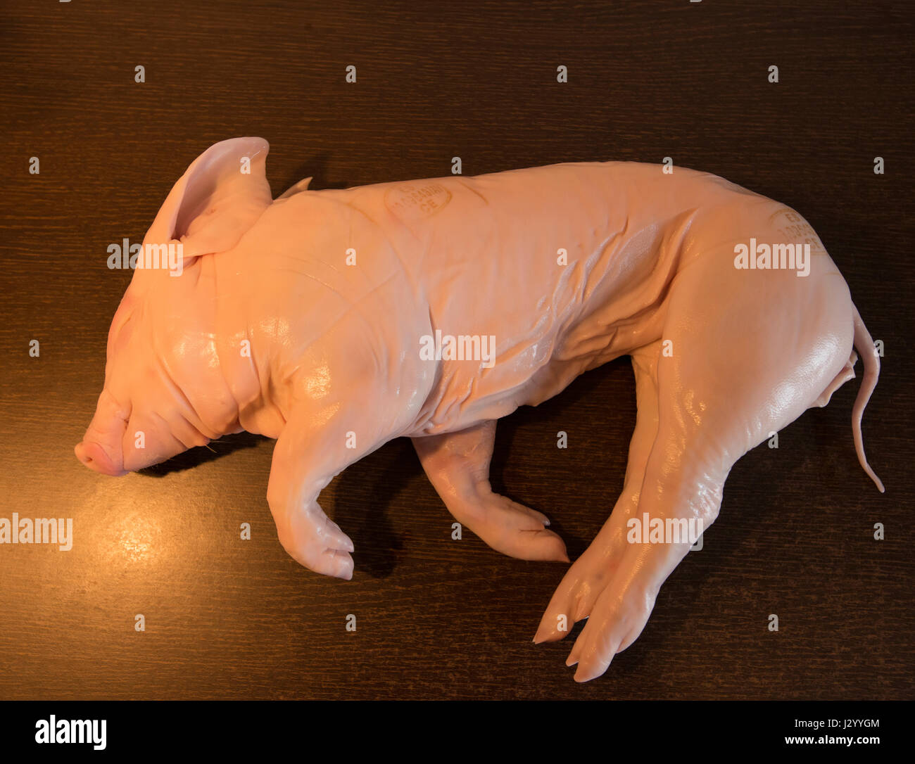 Roasting suckling pig on the oven Stock Photo Alamy
