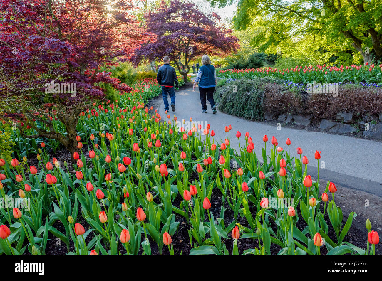 Queen Elizabeth Park, Vancouver, British Columbia, Canada Stock Photo