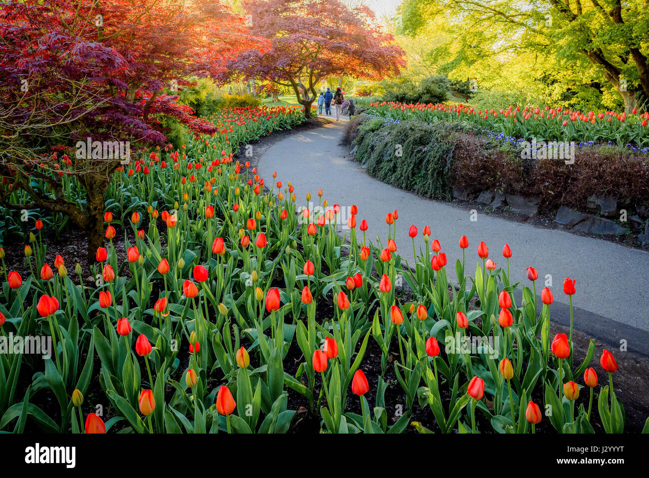 Queen Elizabeth Park, Vancouver, British Columbia, Canada Stock Photo