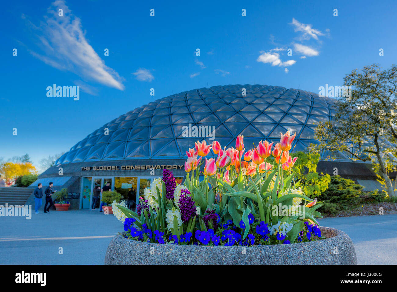 Queen Elizabeth Park, Vancouver, British Columbia, Canada Stock Photo