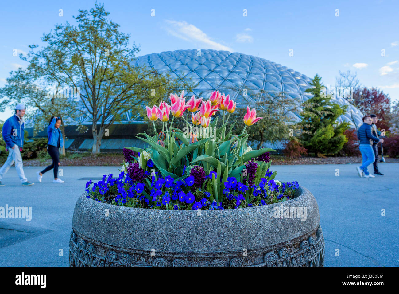 Queen Elizabeth Park, Vancouver, British Columbia, Canada Stock Photo
