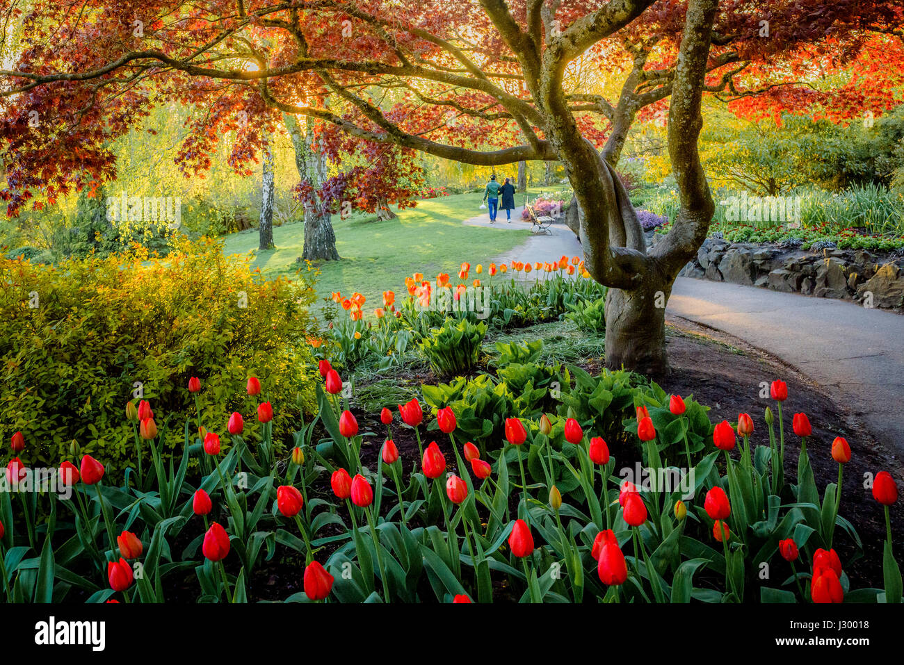 Queen Elizabeth Park, Vancouver, British Columbia, Canada Stock Photo