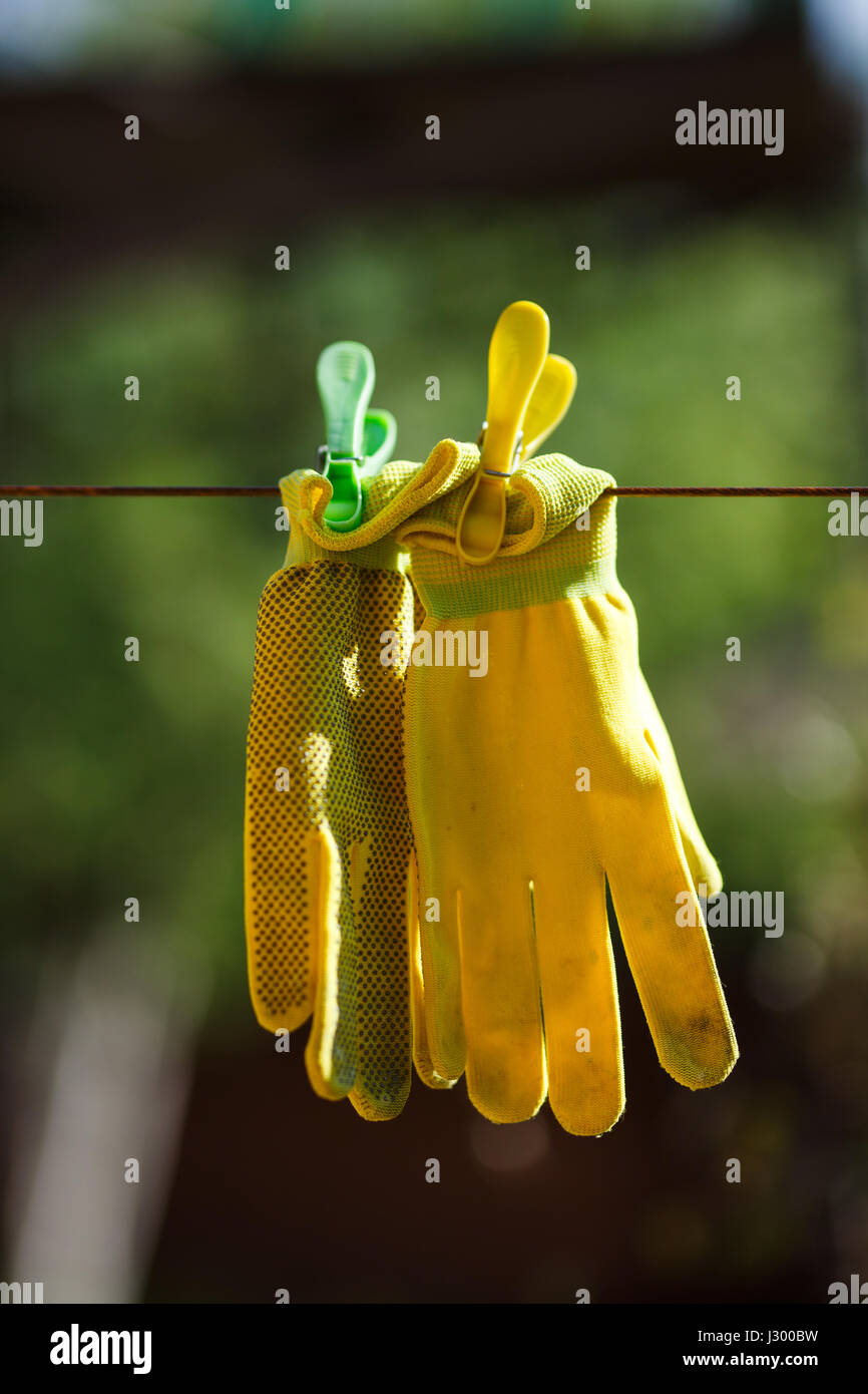 Closeup photo of yellow garden gloves hanging on a rope. Stock Photo