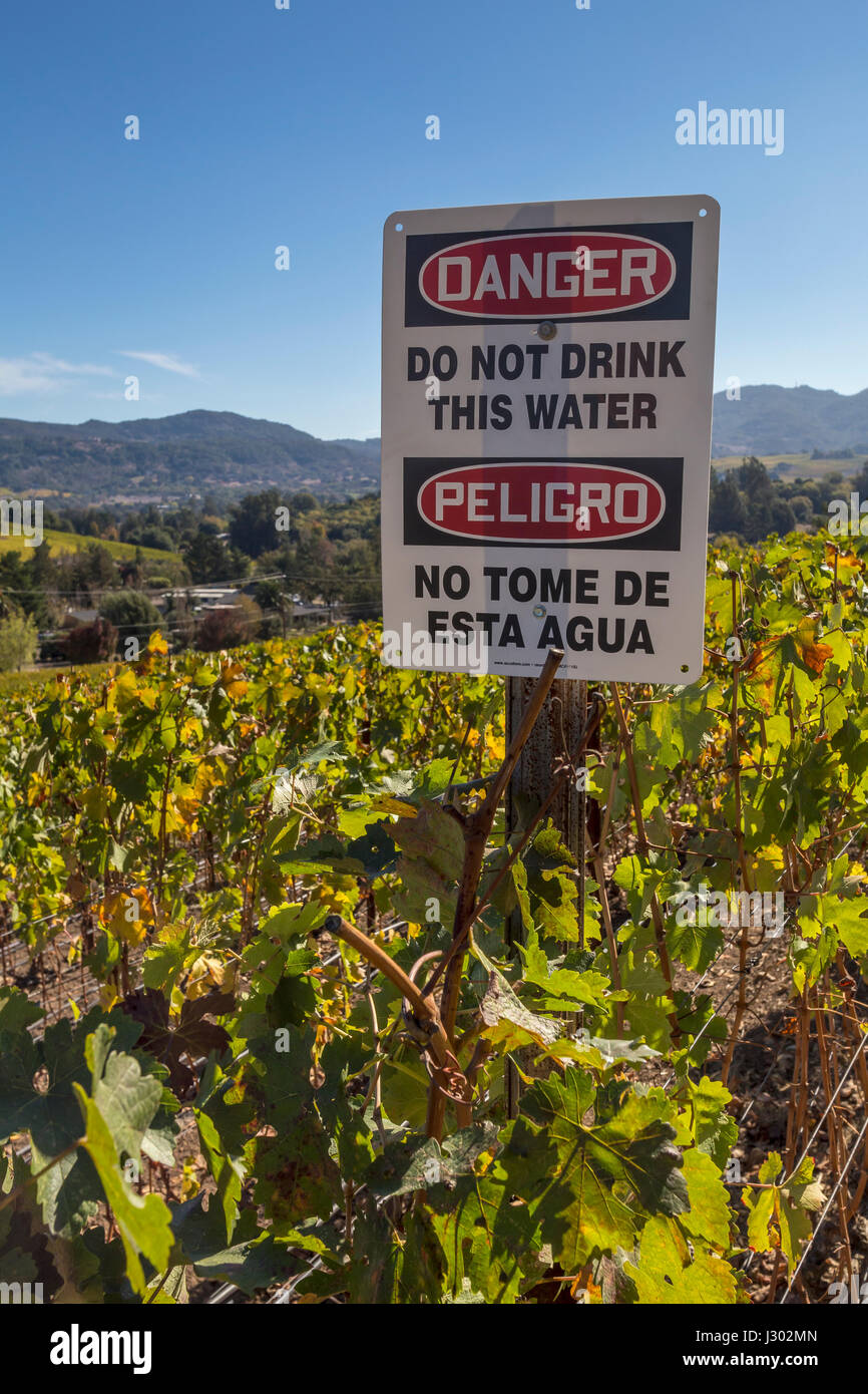 warning sign, danger, do not drink this water, peligro, no tome de esta agua, grape vineyard, Napa, Napa Valley, California Stock Photo