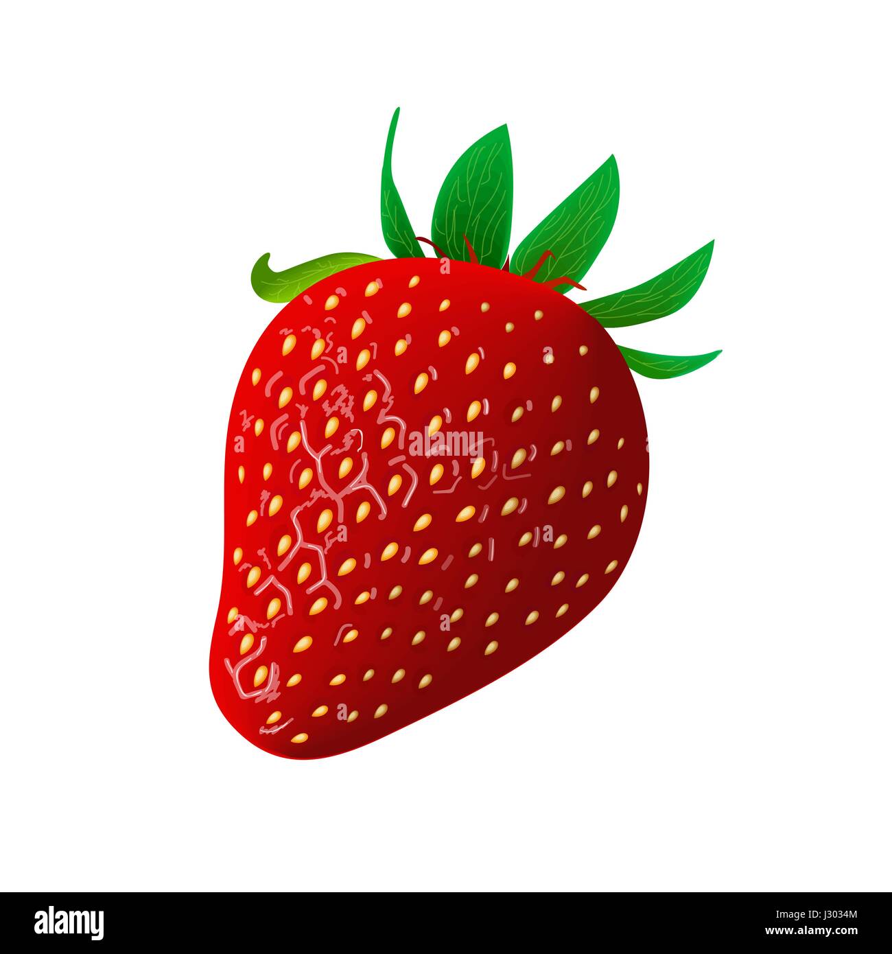 Strawberry Stock Vector Images - Alamy