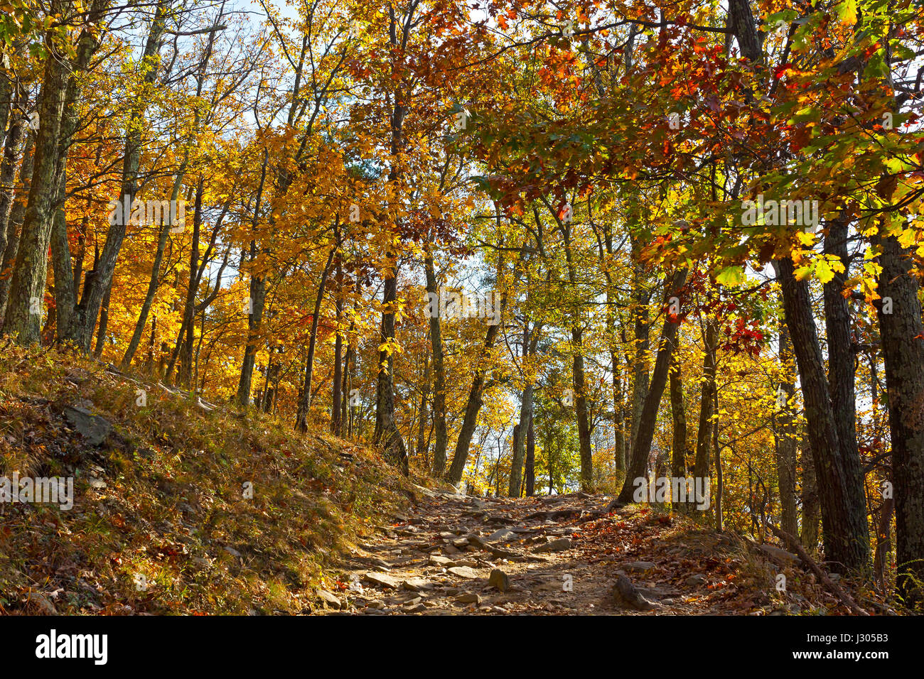 Appalachian trail in autumn in West Virginia, USA. Sun paves the way of a rocky mountain terrain. Stock Photo