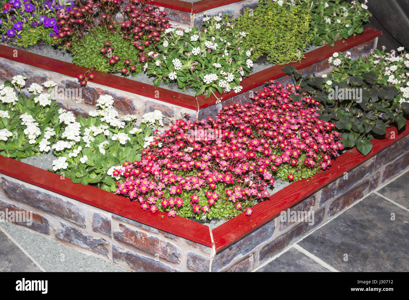 Plants in a raised bed Stock Photo - Alamy