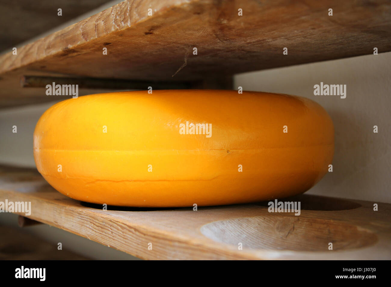Cheese rack in refining in Gouda, Holland (The Netherlands) Stock Photo