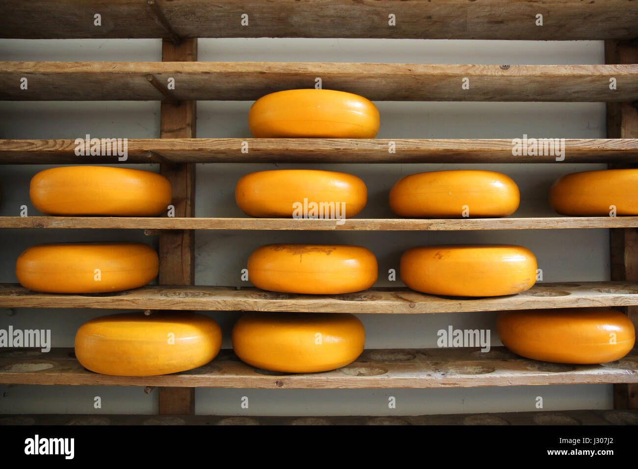 Cheese rack in refining in Gouda, Holland (The Netherlands Stock Photo