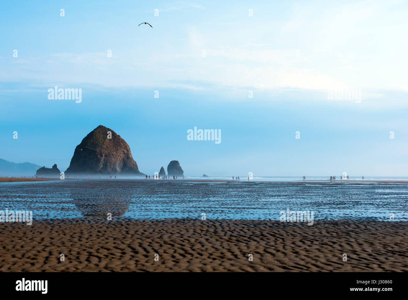 A delightful view of the Pacific coast during low tide, when the water retreated, exposing wavy