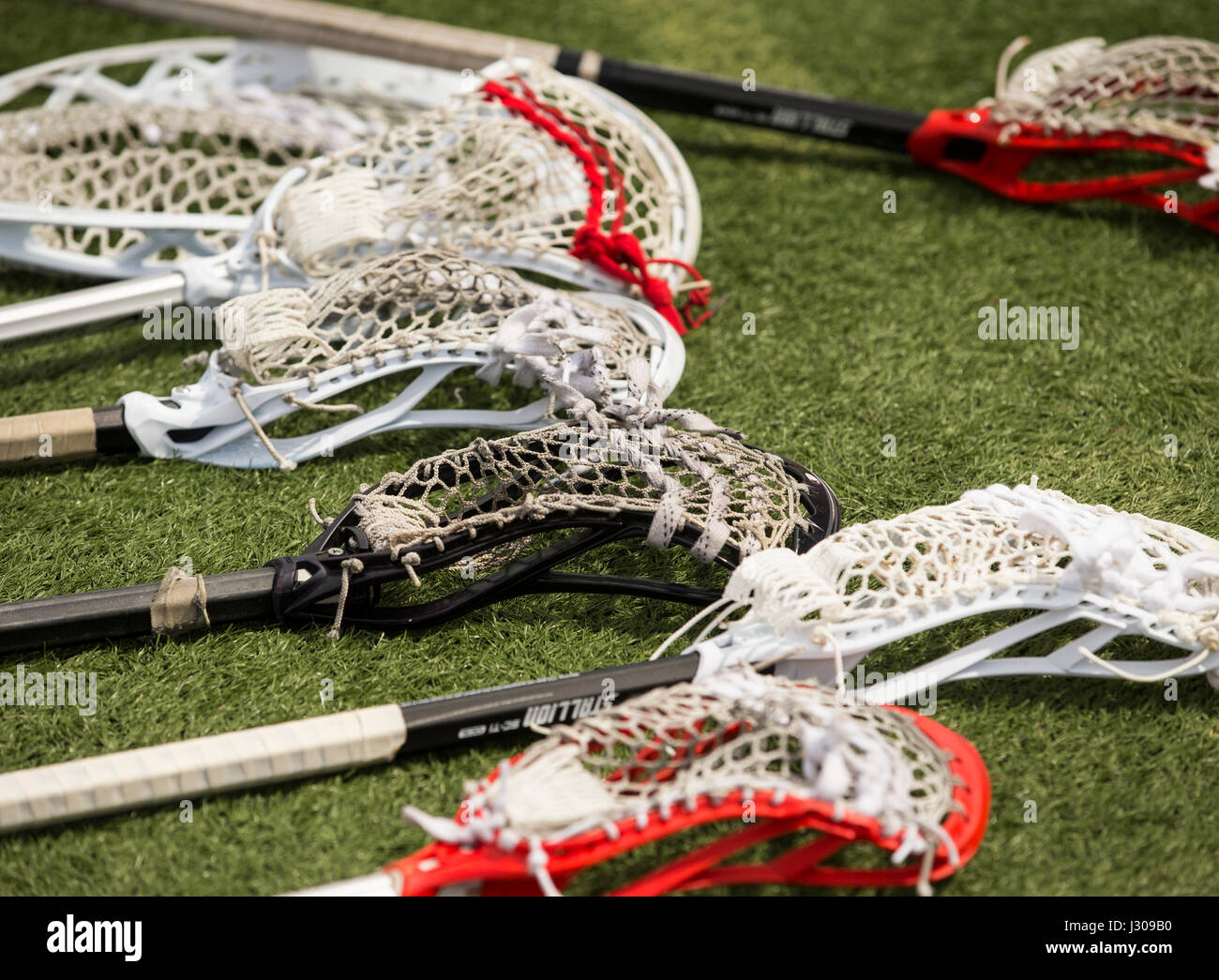 Lacrosse Sticks With Ball Male Sports High-Res Vector Graphic