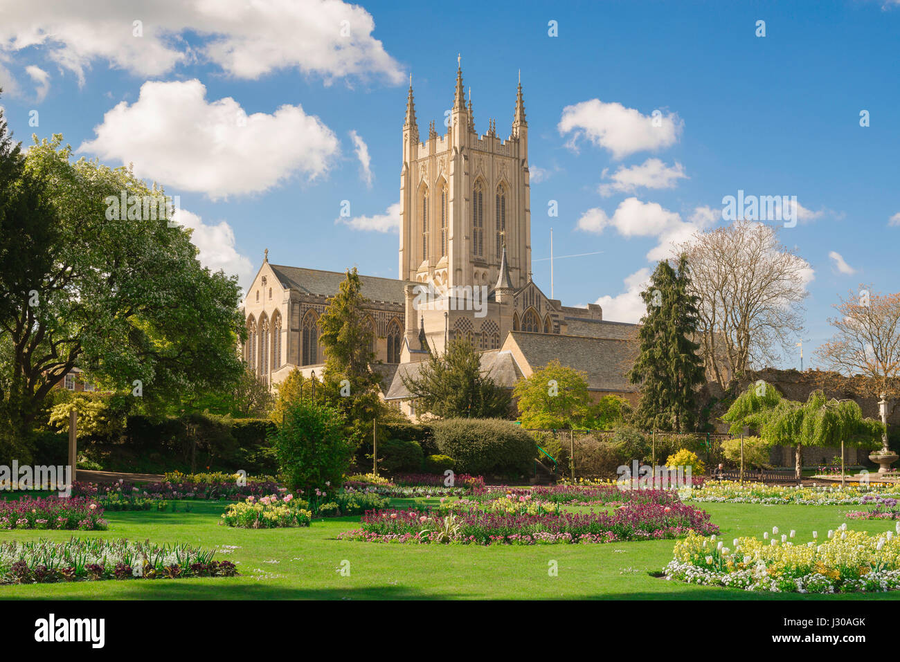 Bury St Edmunds Abbey Gardens, view across the Abbey Gardens towards St Edmundsbury Cathedral in the town centre of Bury St Edmunds, Suffolk, UK. Stock Photo