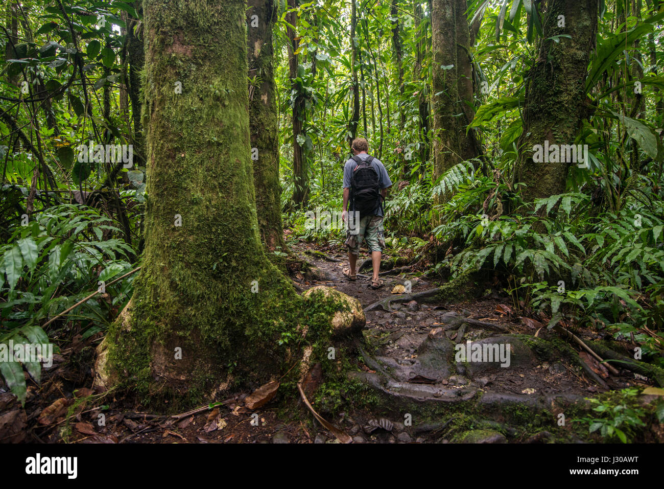 Trekking in the jungle hi-res stock photography and images - Alamy