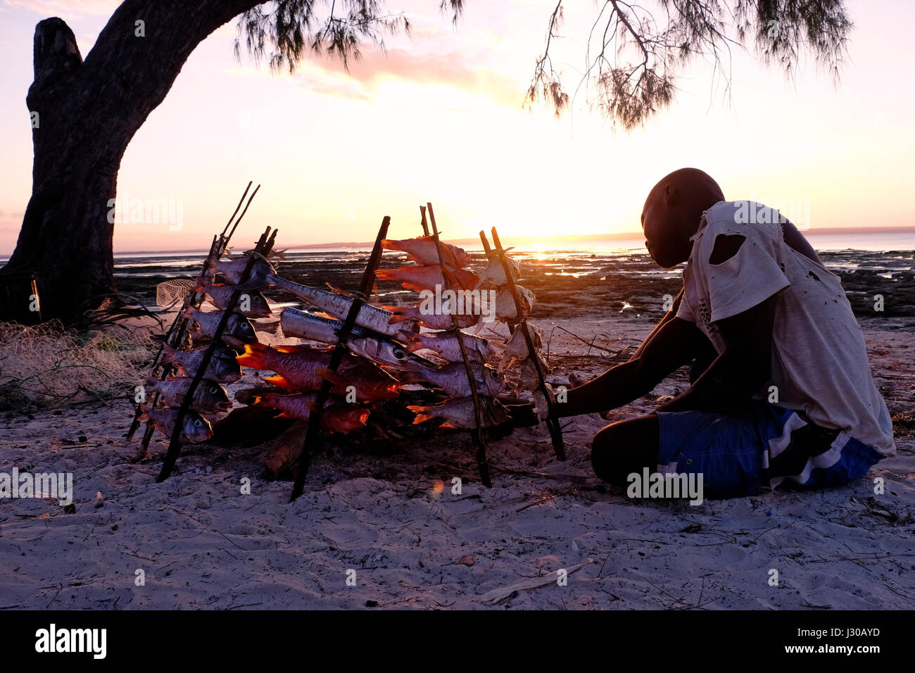 A Mwani native man grilling fishes on open wood fire in a fishermen ...