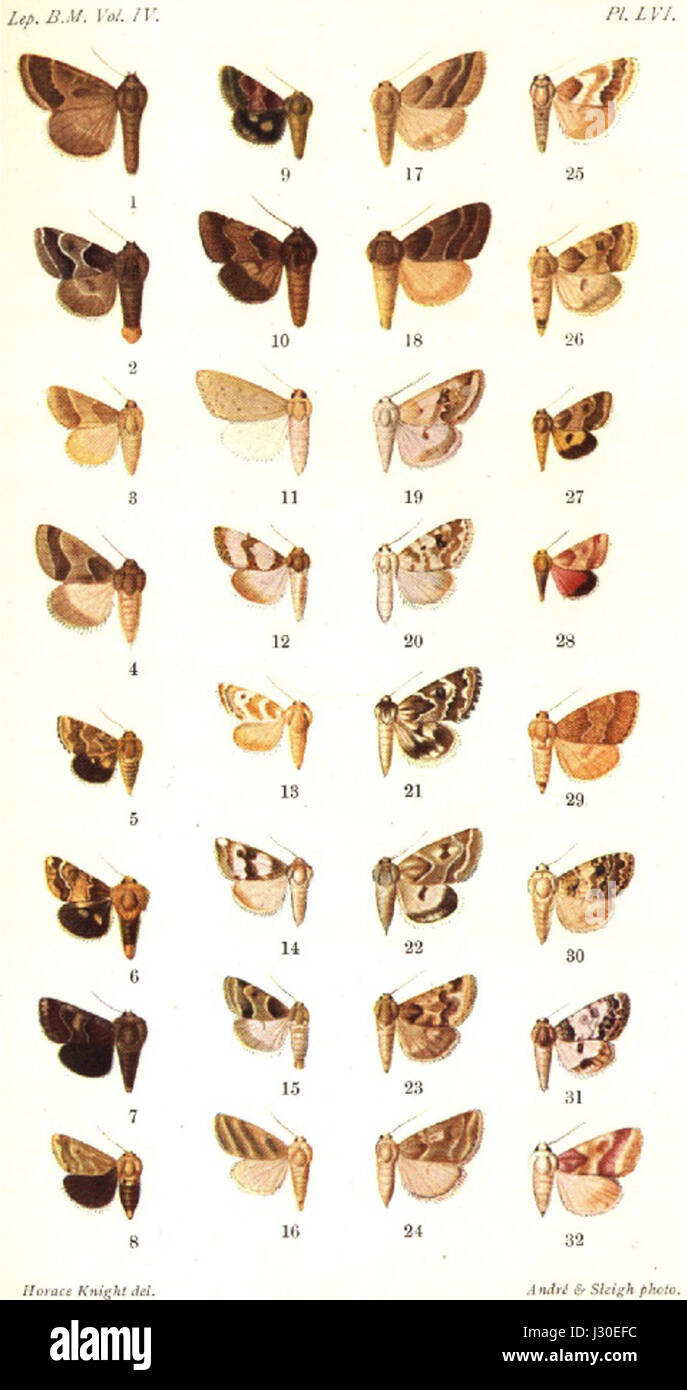 Lvi hires stock photography and images Alamy