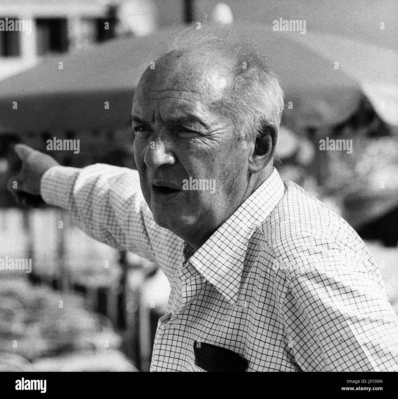 Vladimir Nabokov 1973b Stock Photo