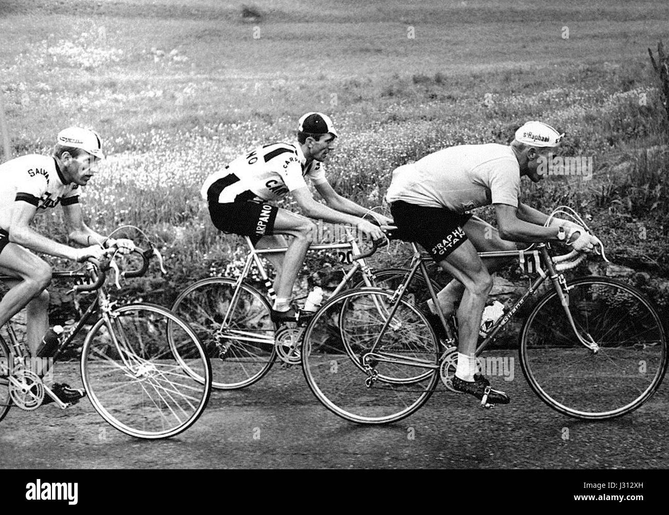 Italo Zilioli, Jacques Anquetil and Vittorio Adorni 1964 Stock Photo