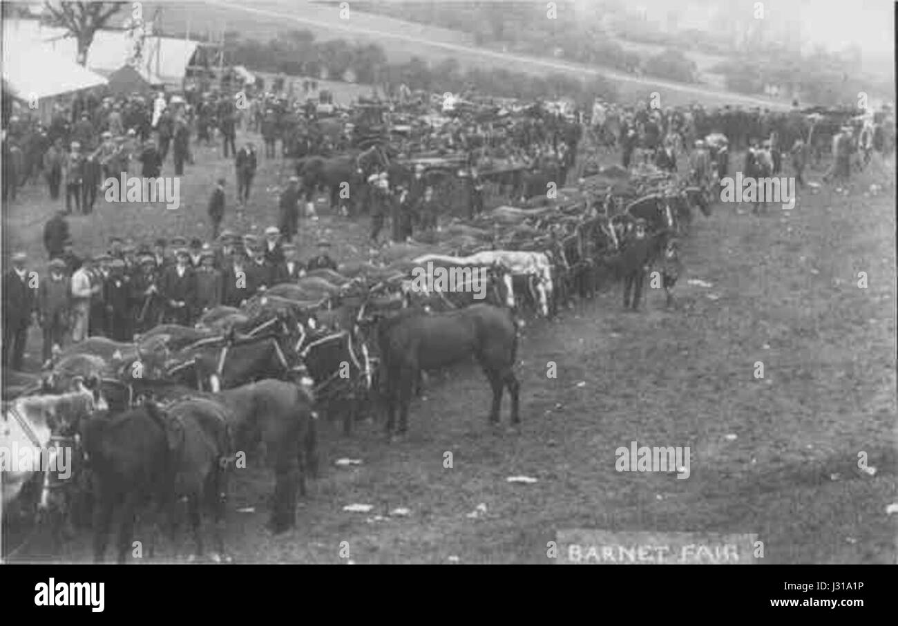 Horse Fair Stock Photo Alamy