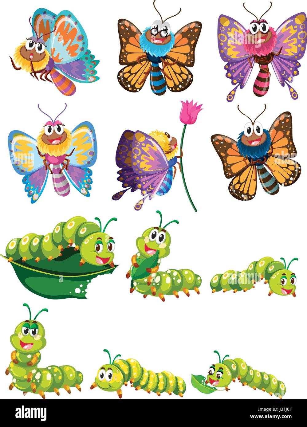 Caterpillars and butterflies with colorful wings illustration Stock