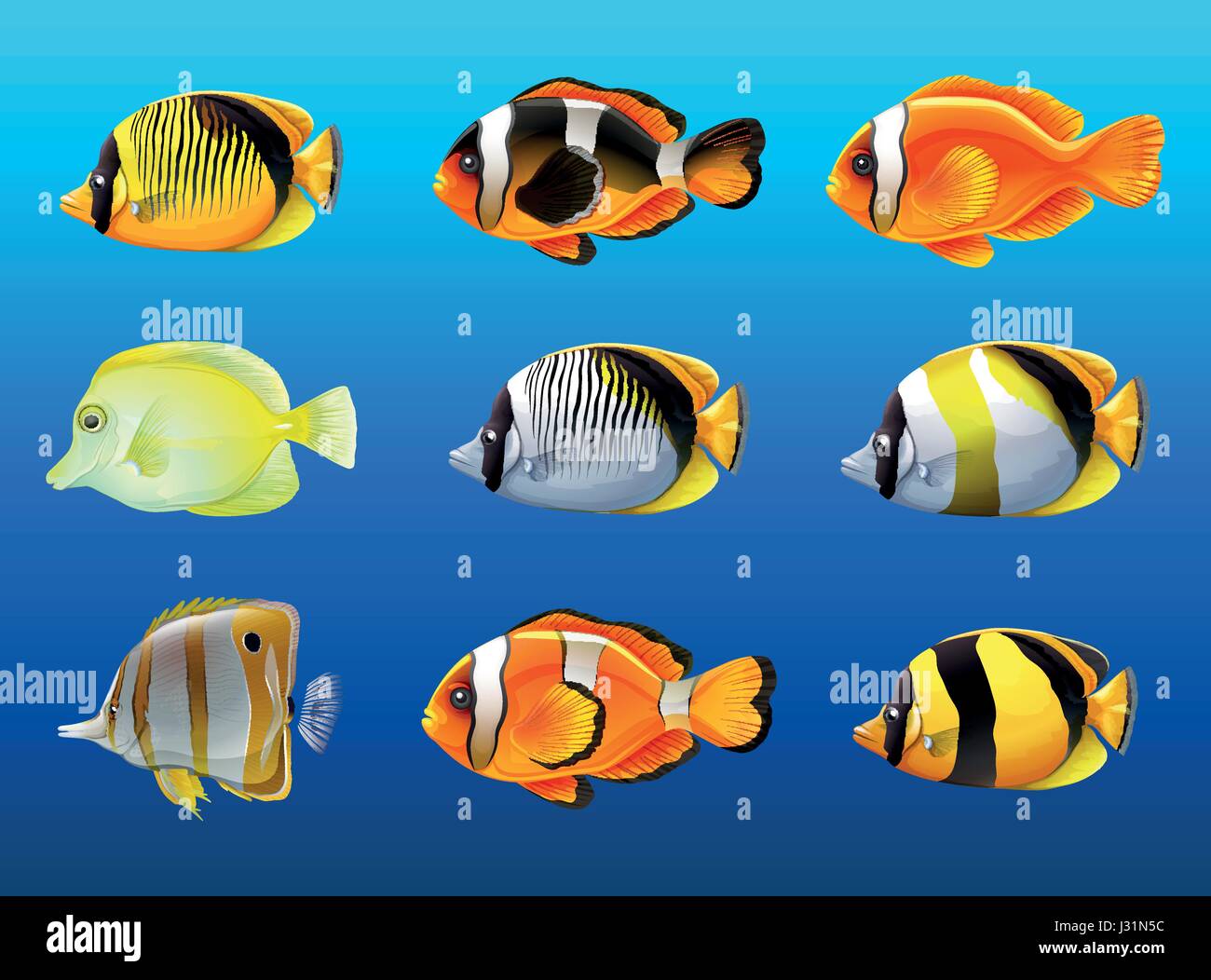 Different kinds of fish under the ocean illustration Stock Vector Image