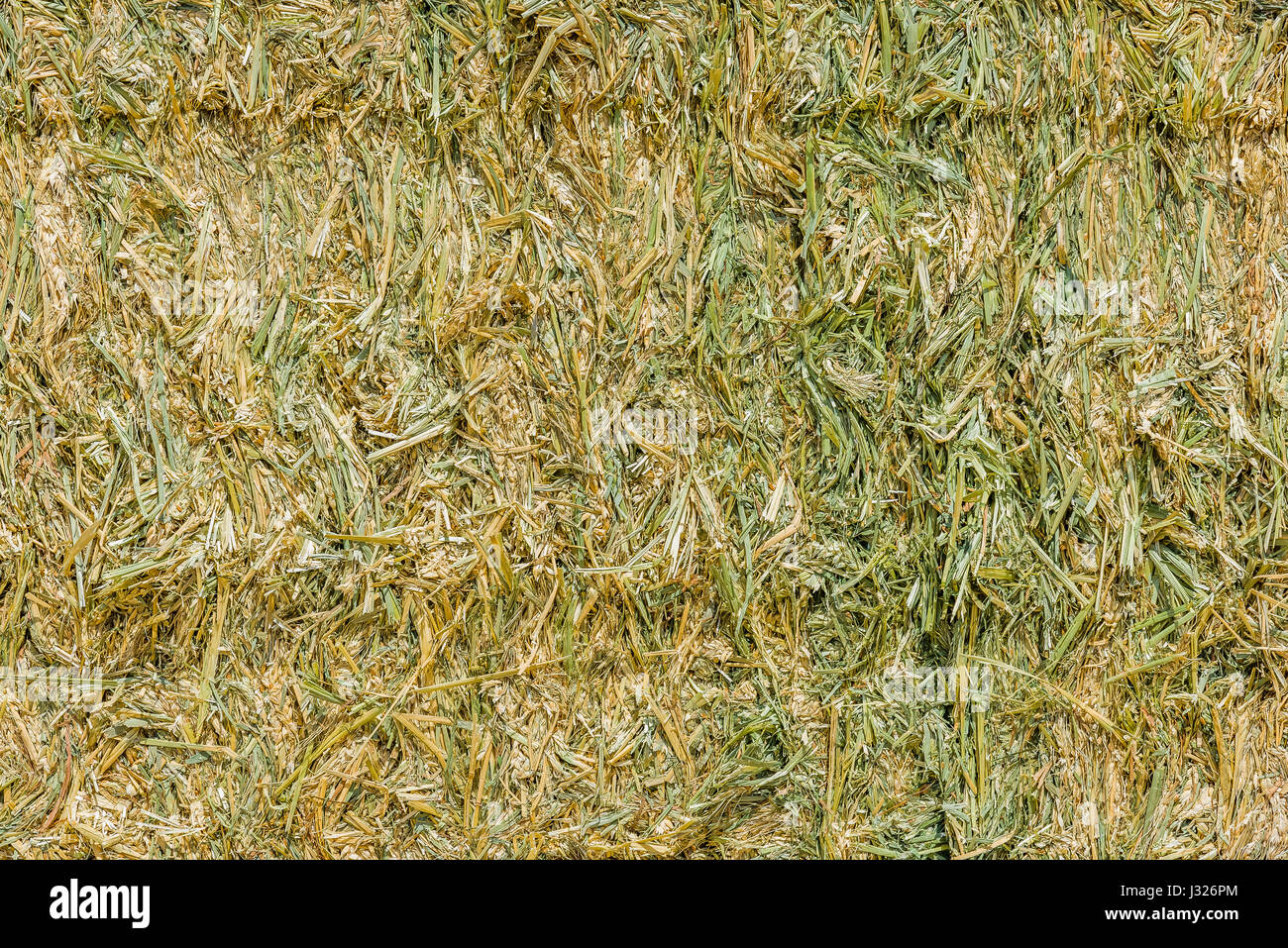 Dry yellow straw grass background texture after havest Backdrop dry