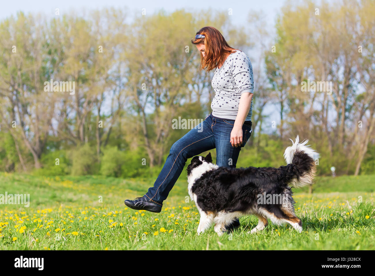 border collie dancing with woman