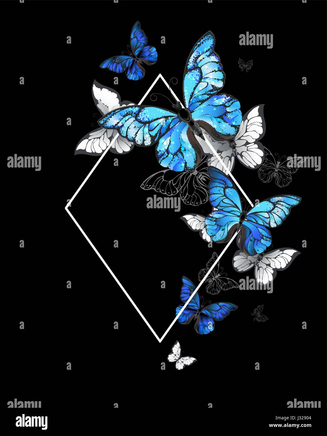 White, contoured Rhombus banner with flying butterflies morpho on a black  background. Morpho. Design with blue butterflies morpho Stock Vector Image  & Art - Alamy