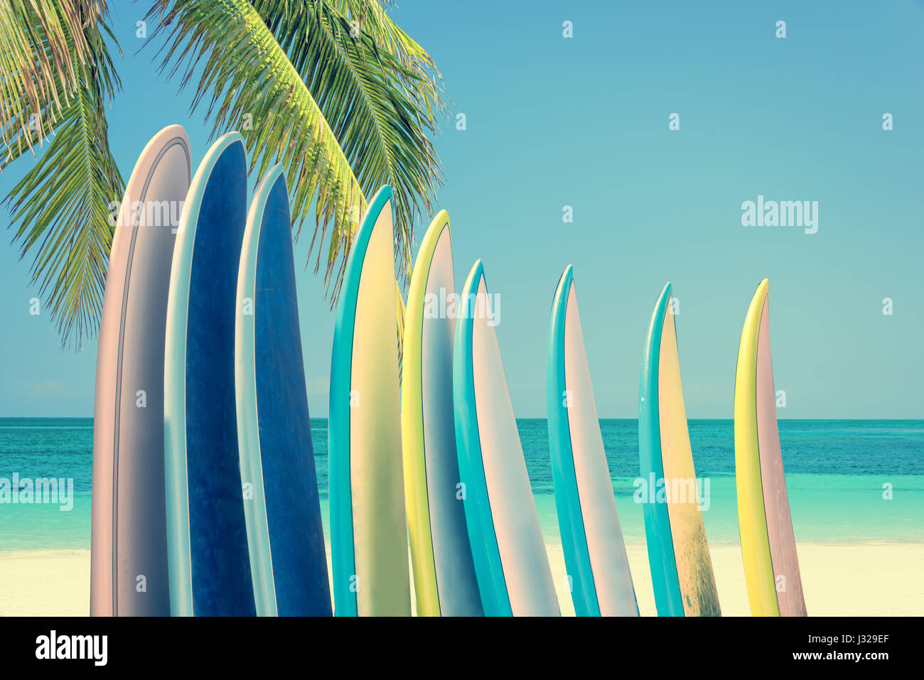 Stack of colorful surfboards on a tropical beach by the ocean with palm tree, retro vintage filter Stock Photo