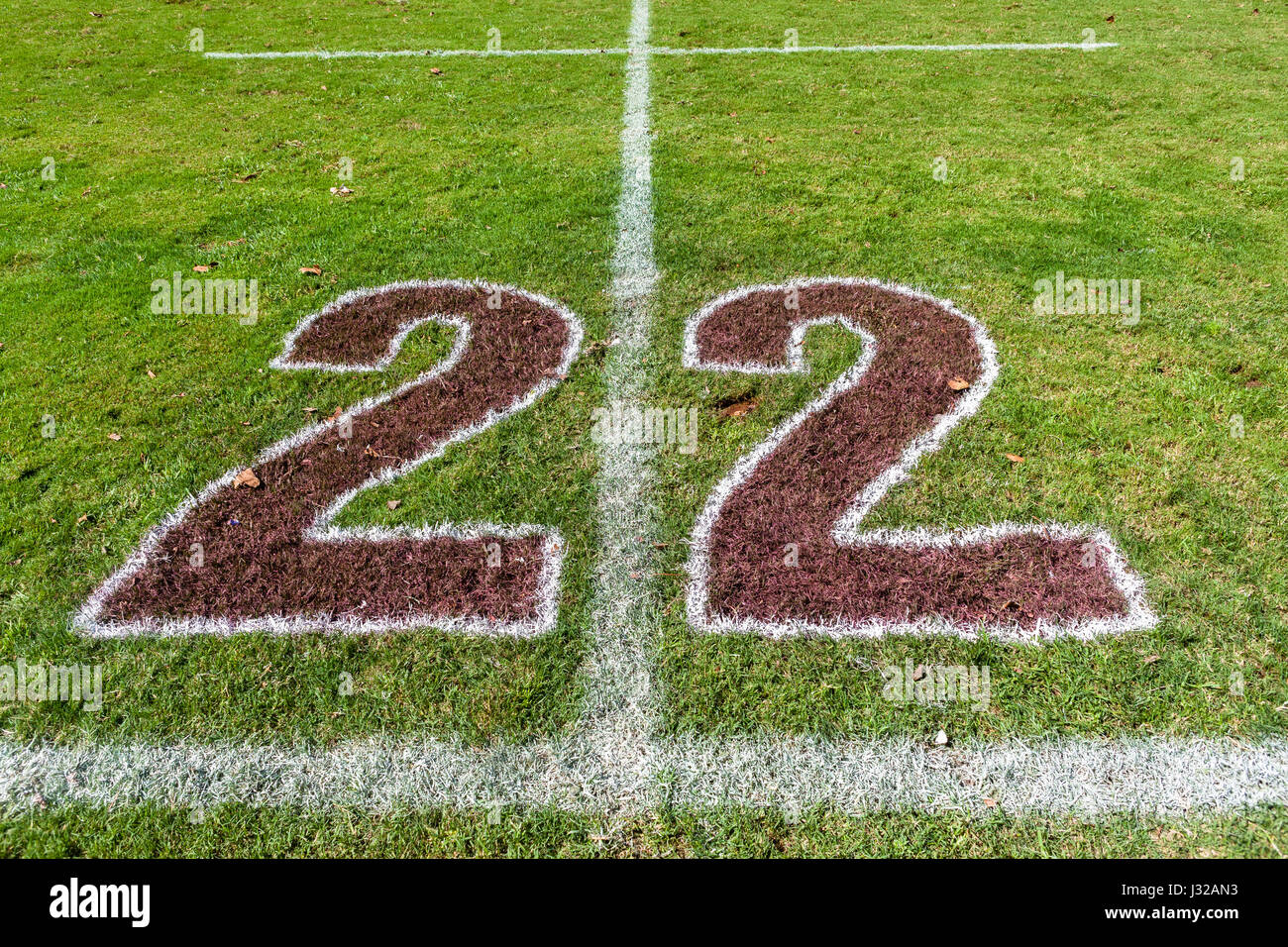 Sports rugby field twenty two meter line markings on grass turf Stock