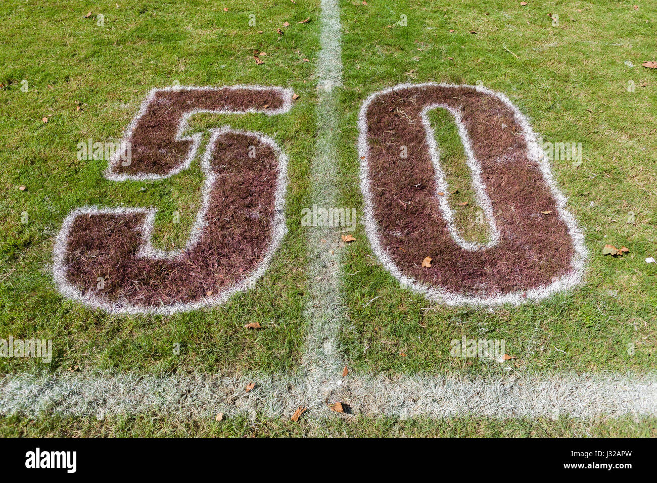 Rugby field fifty meter line markings middle halfway on grass turf ...