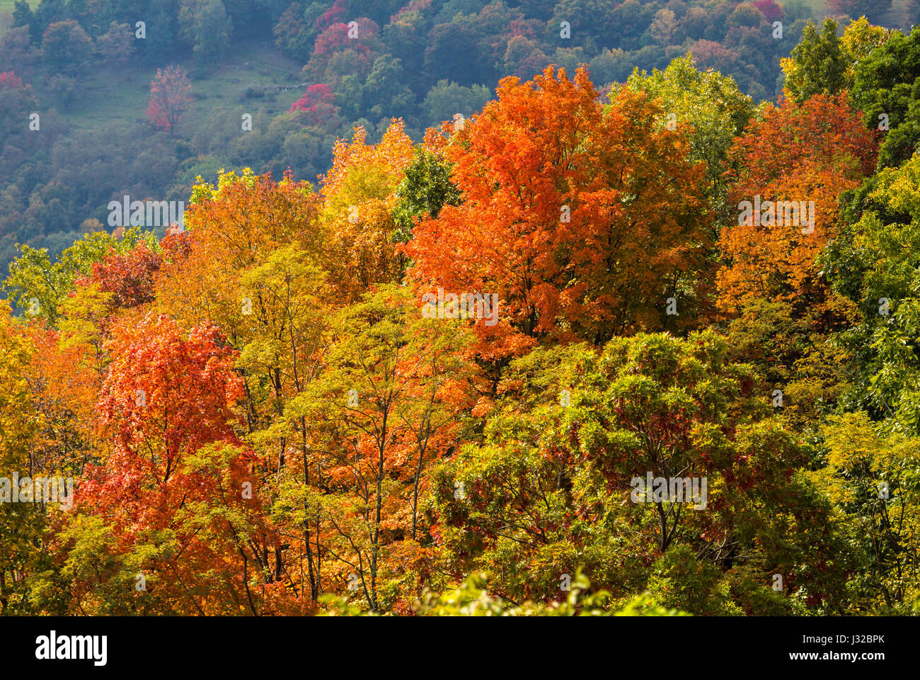 National forests west virginia hires stock photography and images Alamy