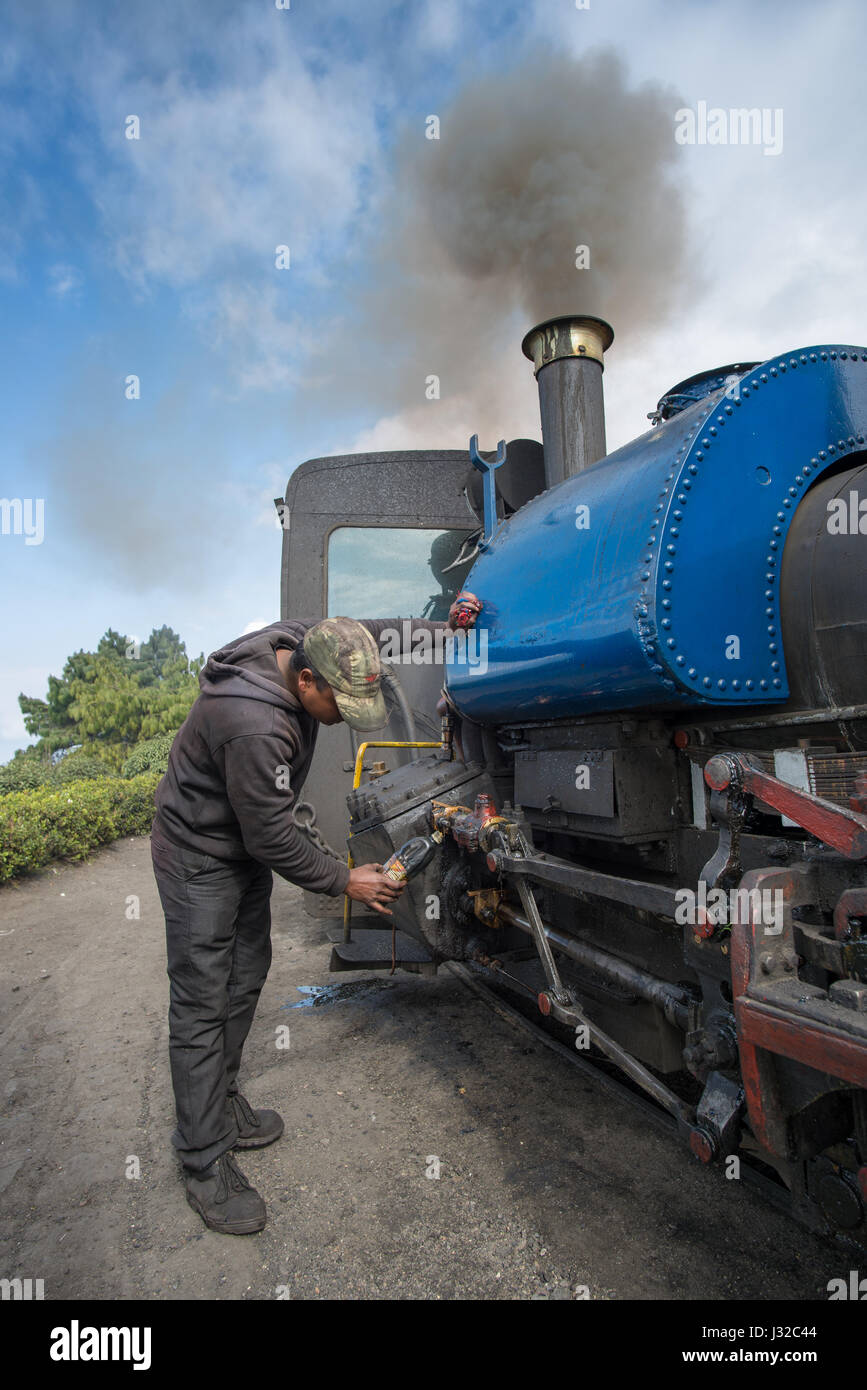 DARJEELING, INDIA – NOVEMBER 27, 2016: technician services the steam engine hauled DHR Toy Train used for joy ride tours as well as regular transport  Stock Photo