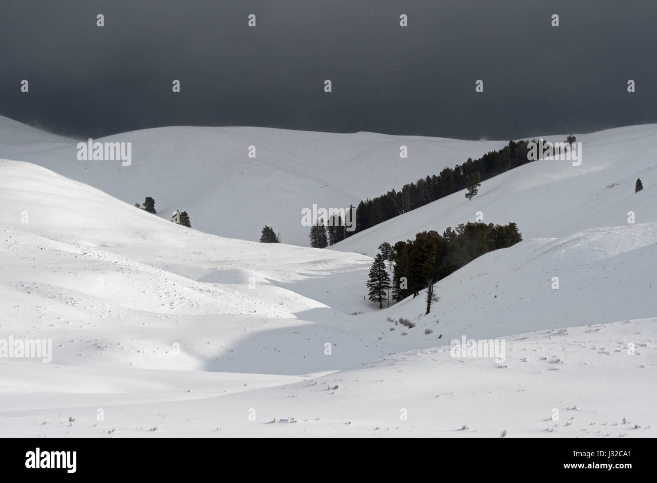 Lamar Valley, Yellowstone National Park, strong wind blasting snow over rolling hills, threatening dark black sky, upcoming bad weather, Wyoming, USA. Stock Photo