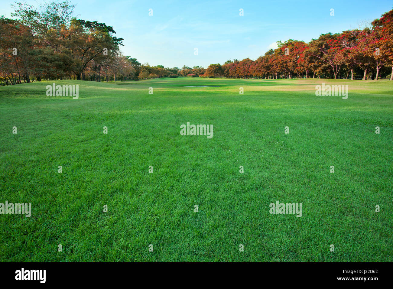beautiful green lawn in public park Stock Photo - Alamy
