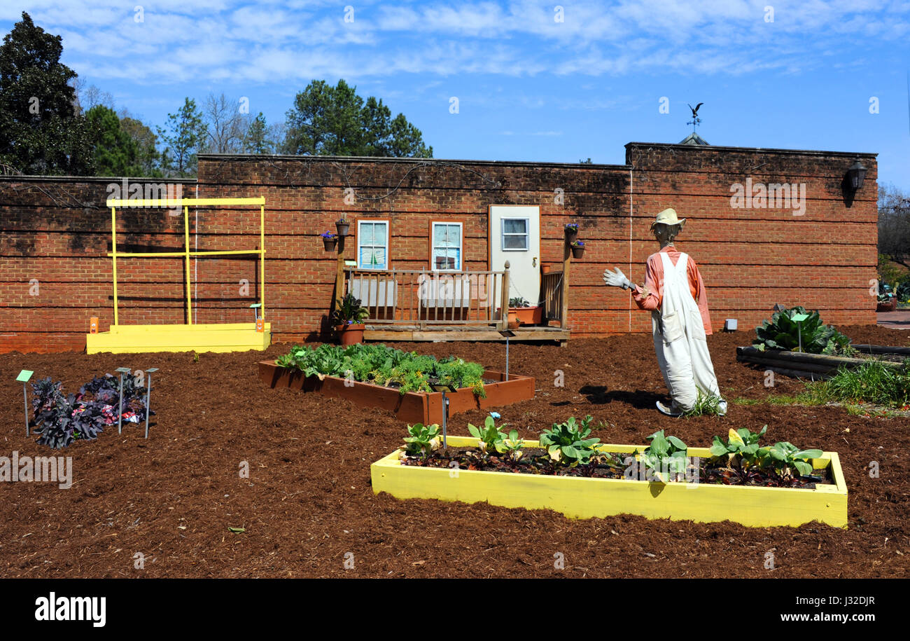 Fresh tilled soil and vegetable garden is guarded by an overalled scarecrow at the Riverbanks Zoo and Garden in Columbia, South Carolina. Stock Photo
