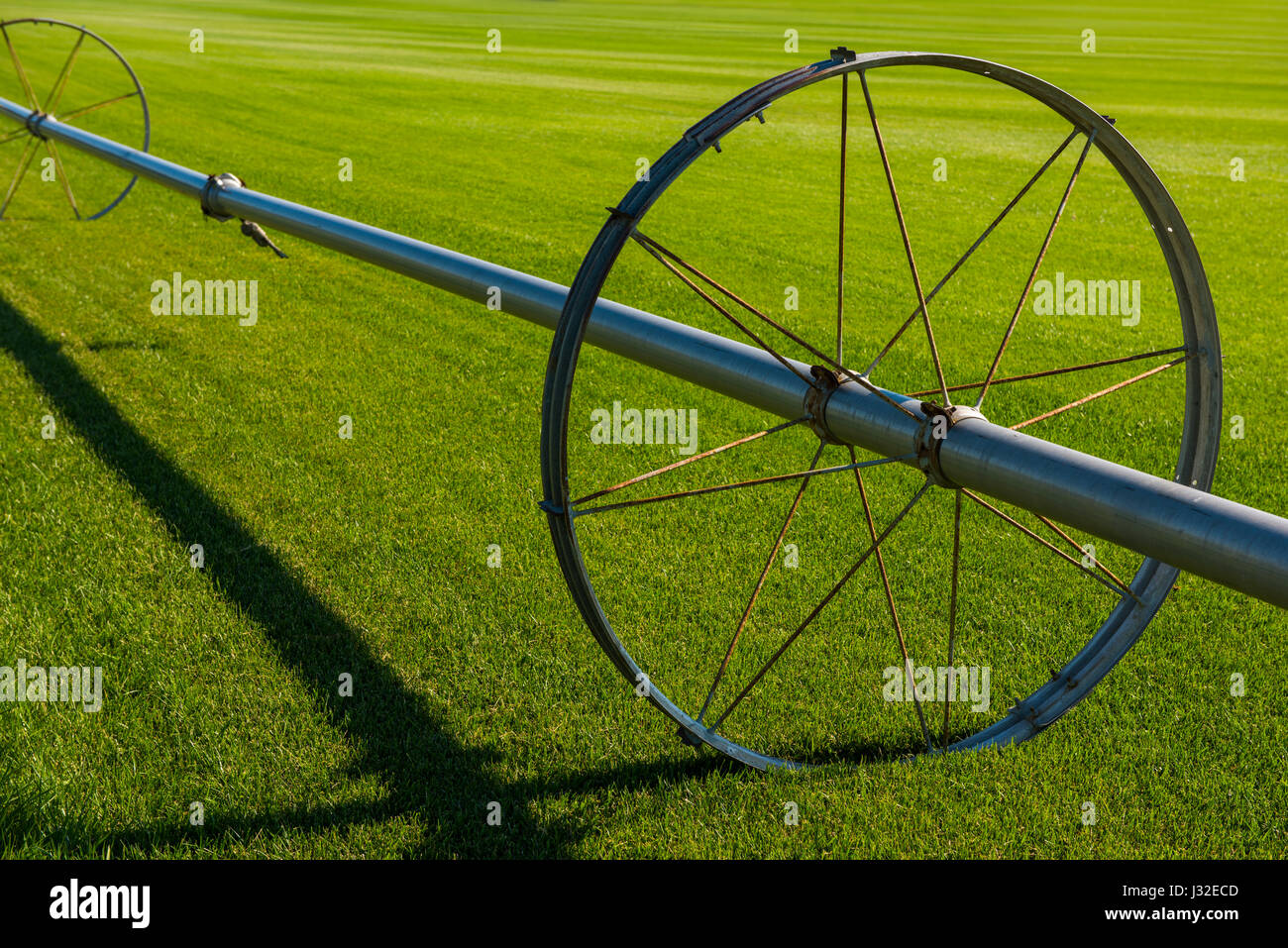 Wheel line irrigation system Stock Photo Alamy