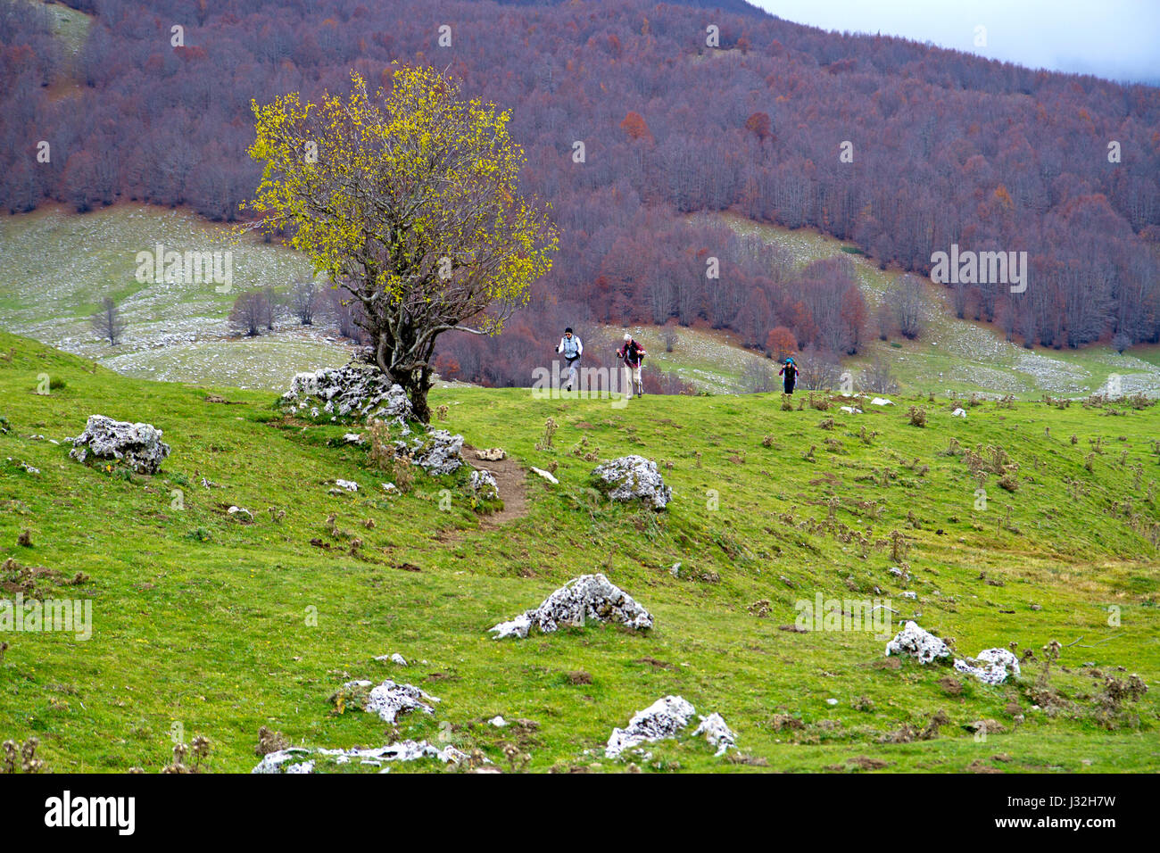 Hikers on the Piano de Pollino plain in Pollino National Park Stock Photo