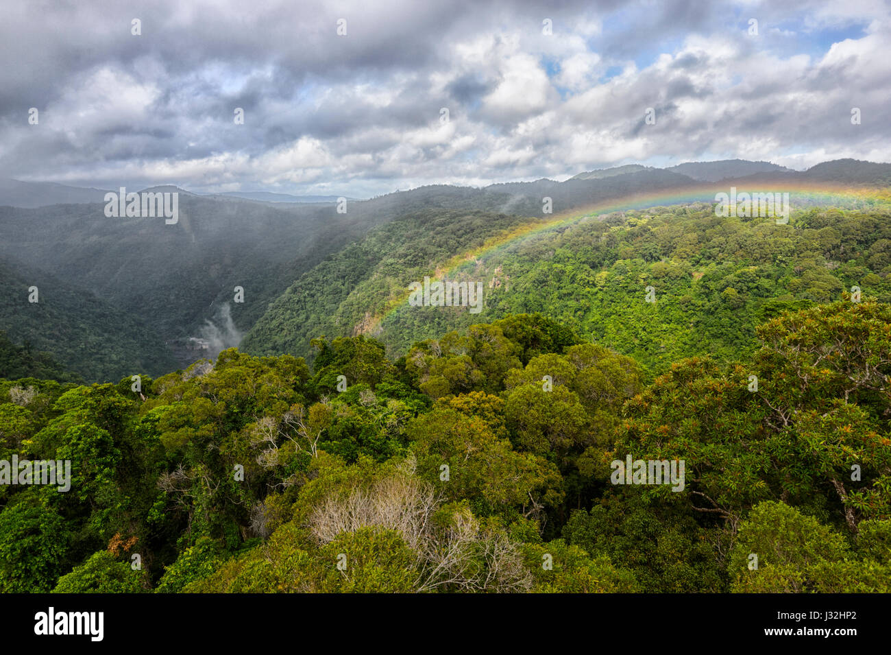 Tropical rainforest weather hi-res stock photography and images - Alamy