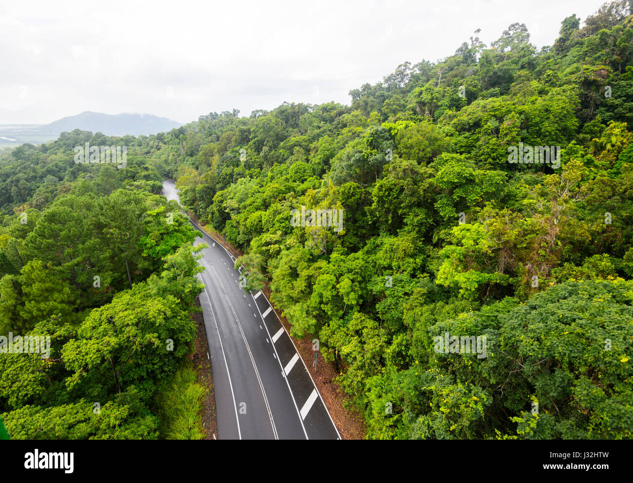 Road through pristine tropical rainforest seen from Skyrail, near Cairns, Far North Queensland, FNQ, QLD, Australia Stock Photo