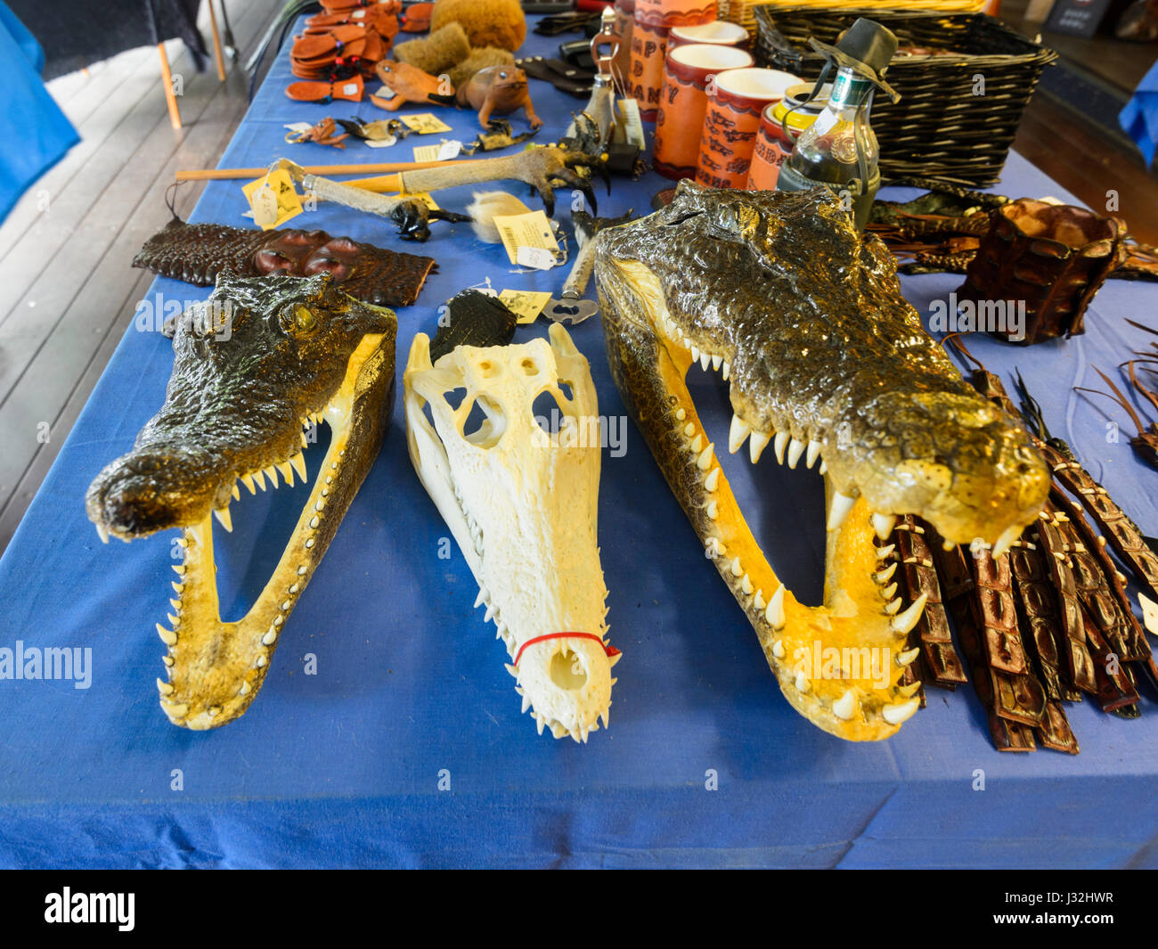 Tacky Crocodile skulls sold as souvenirs for tourists, Kuranda Village, Far North Queensland, FNQ, QLD, Australia Stock Photo