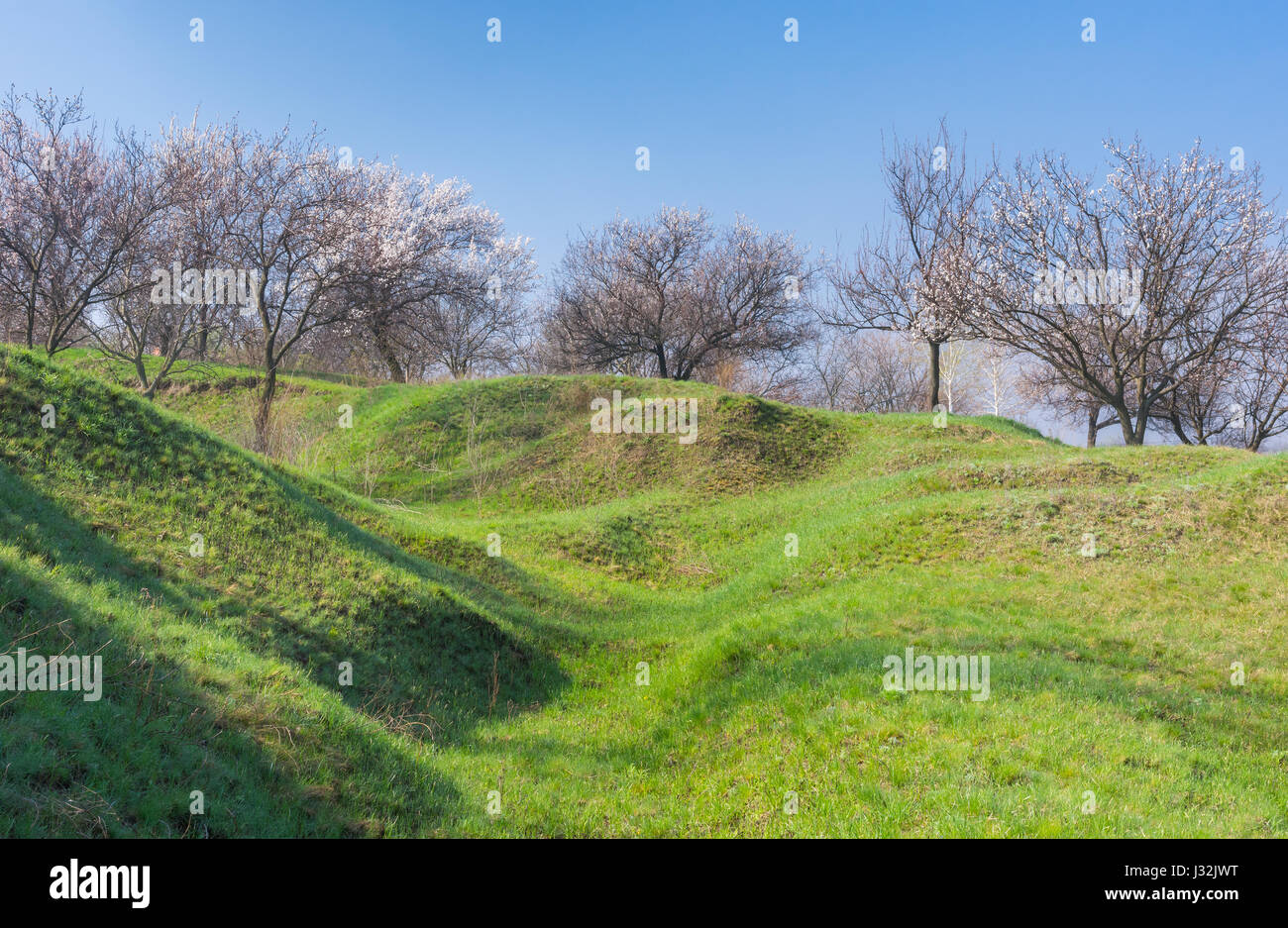 Landscape with flowering orchard on a hill in Ukraine Stock Photo