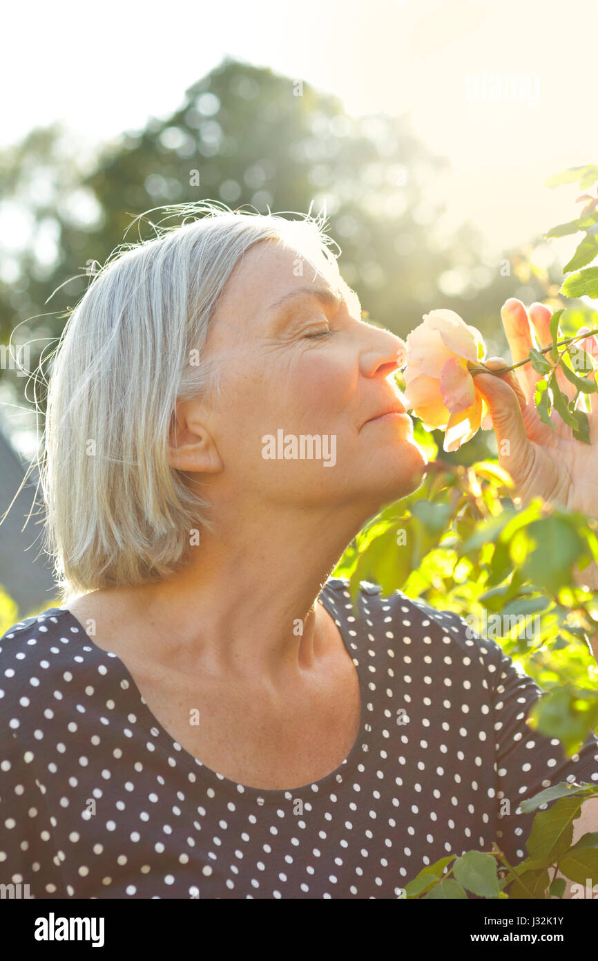 Senior woman in her garden enjoying the scent of a rose flower on a warm and sunny summer afternoon with closed eyes, copy or text space Stock Photo