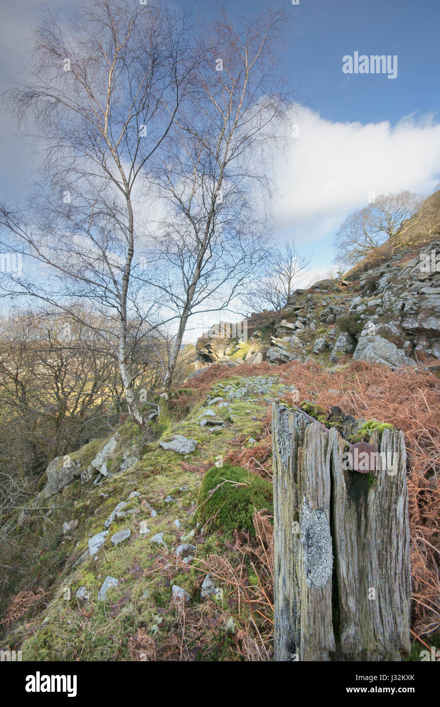 Ystalyfera hires stock photography and images Alamy