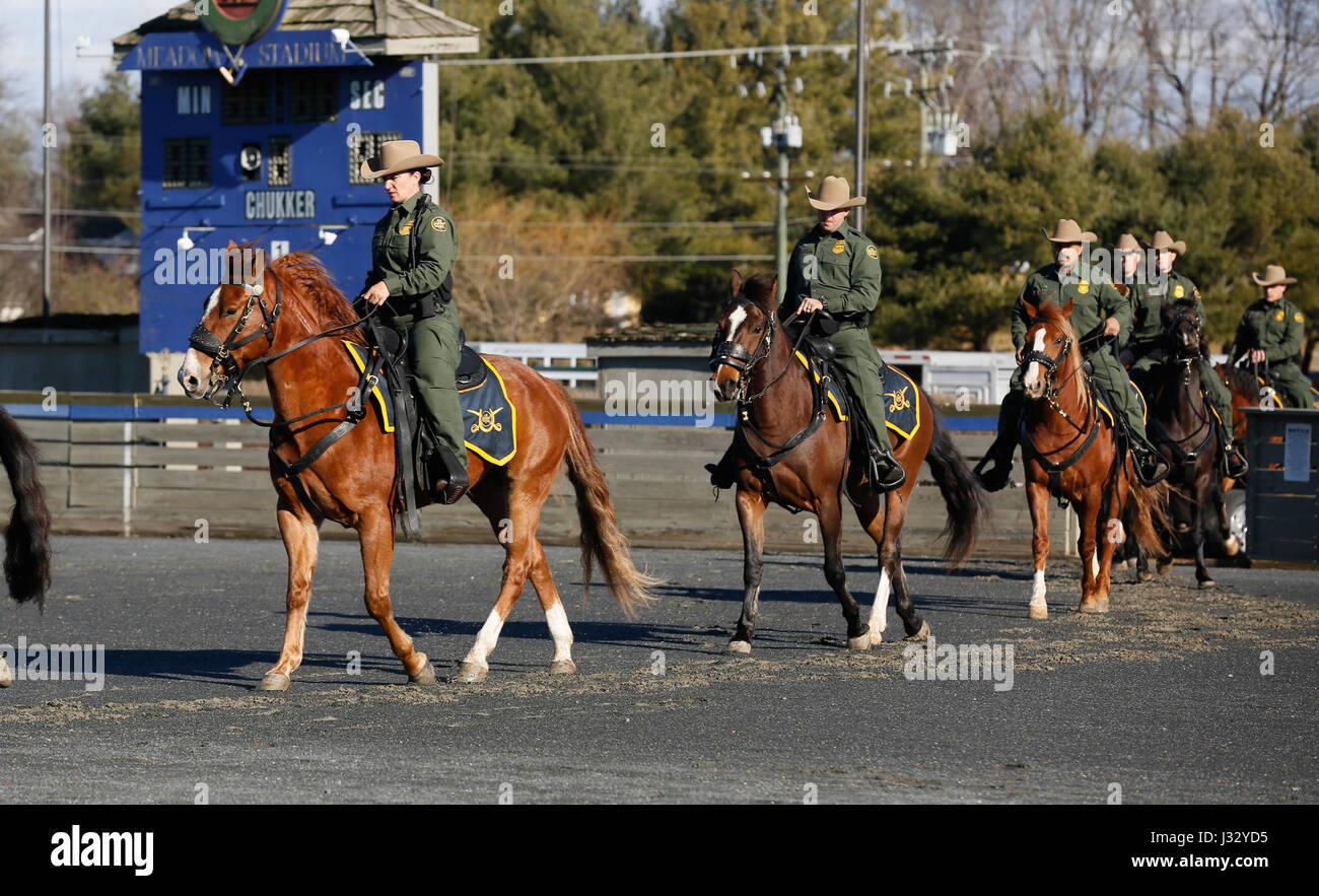 U s border patrol horse patrol unit prepares for innaugural par hires stock photography and