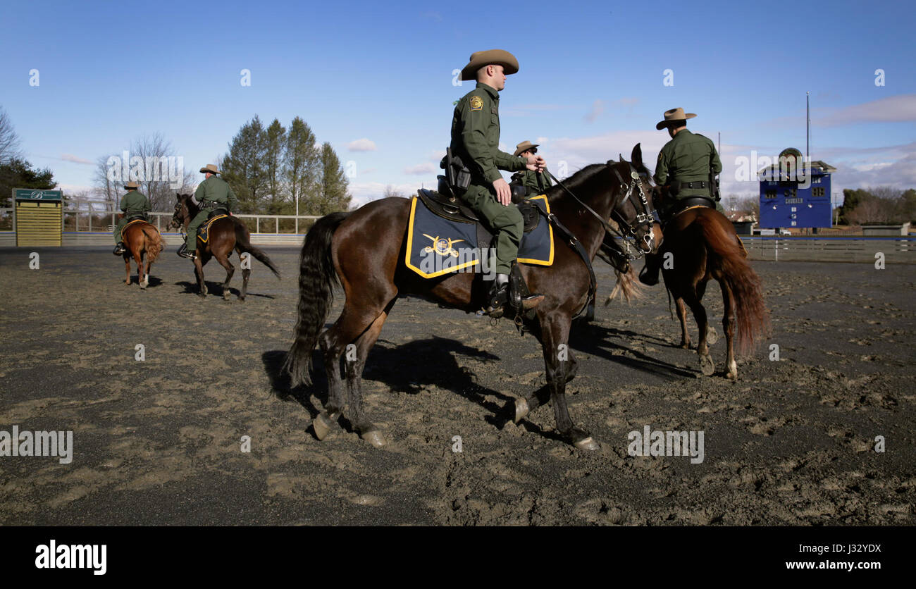 U s border patrol horse patrol unit prepares for innaugural par hires