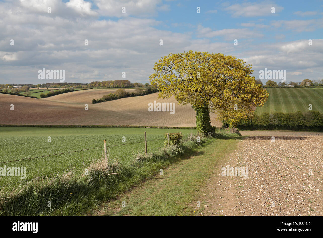 Wendover High Resolution Stock Photography and Images - Alamy