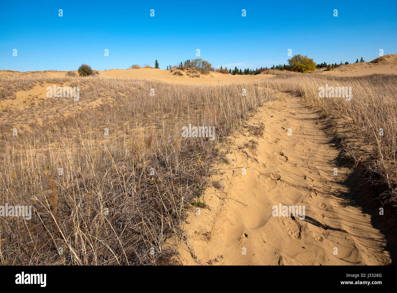 Spirit Sands trail, Spruce Woods Provincial Park, Manitoba, Canada Stock Photo
