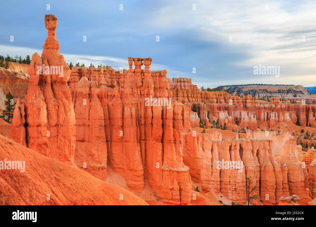 thor's hammer and hoodoos in bryce canyon national park, utah Stock