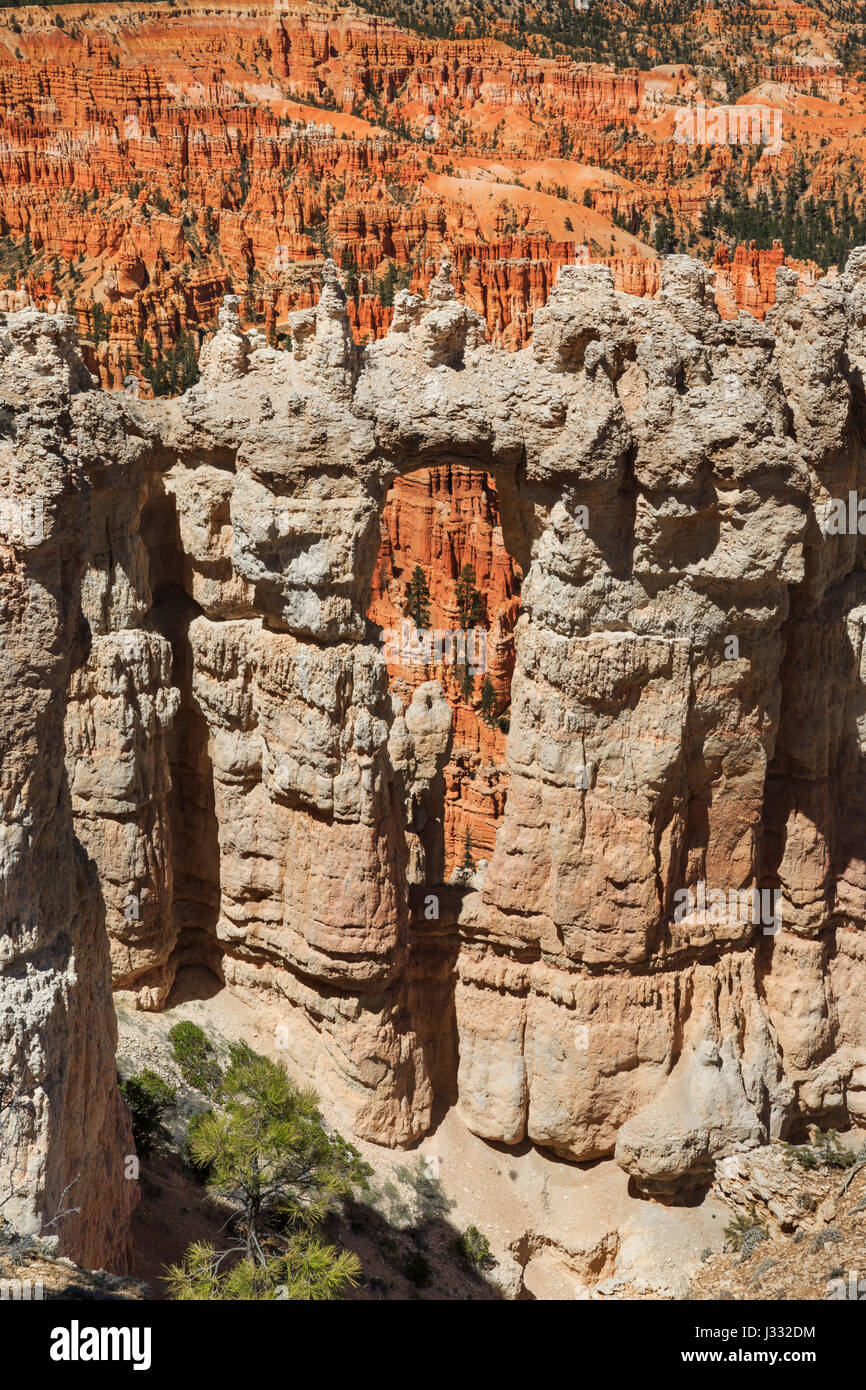 natural window along the rim trail near bryce point in bryce canyon national park, utah Stock Photo