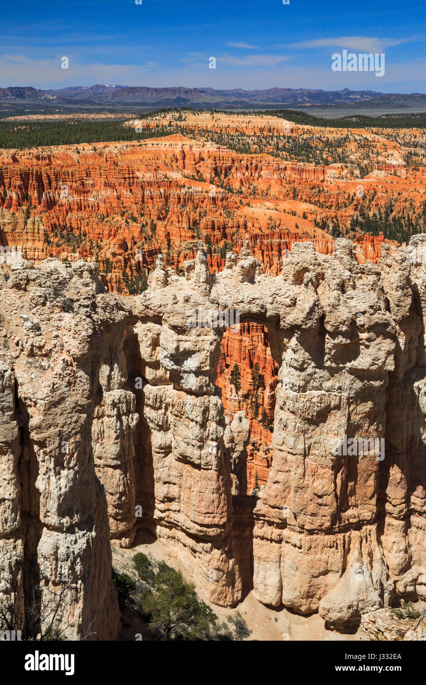 natural window along the rim trail near bryce point in bryce canyon national park, utah Stock Photo